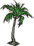 small palm
