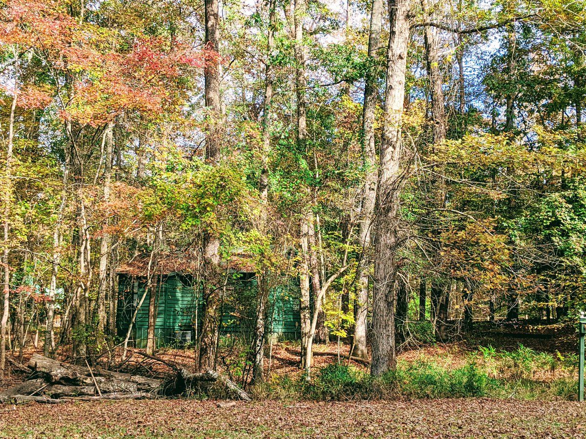 Lawhorn Scouting Base