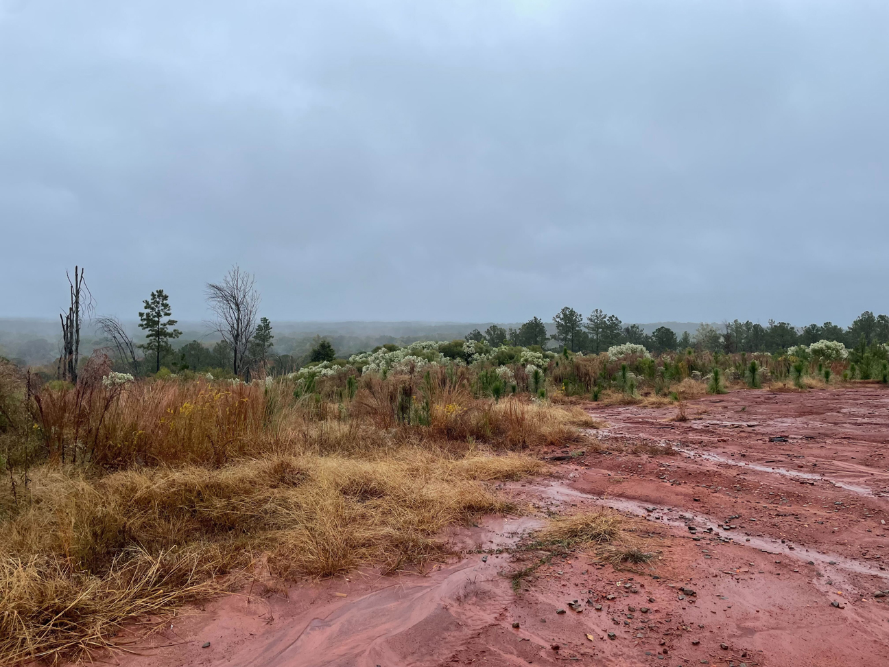 Raider Championship Photo 10