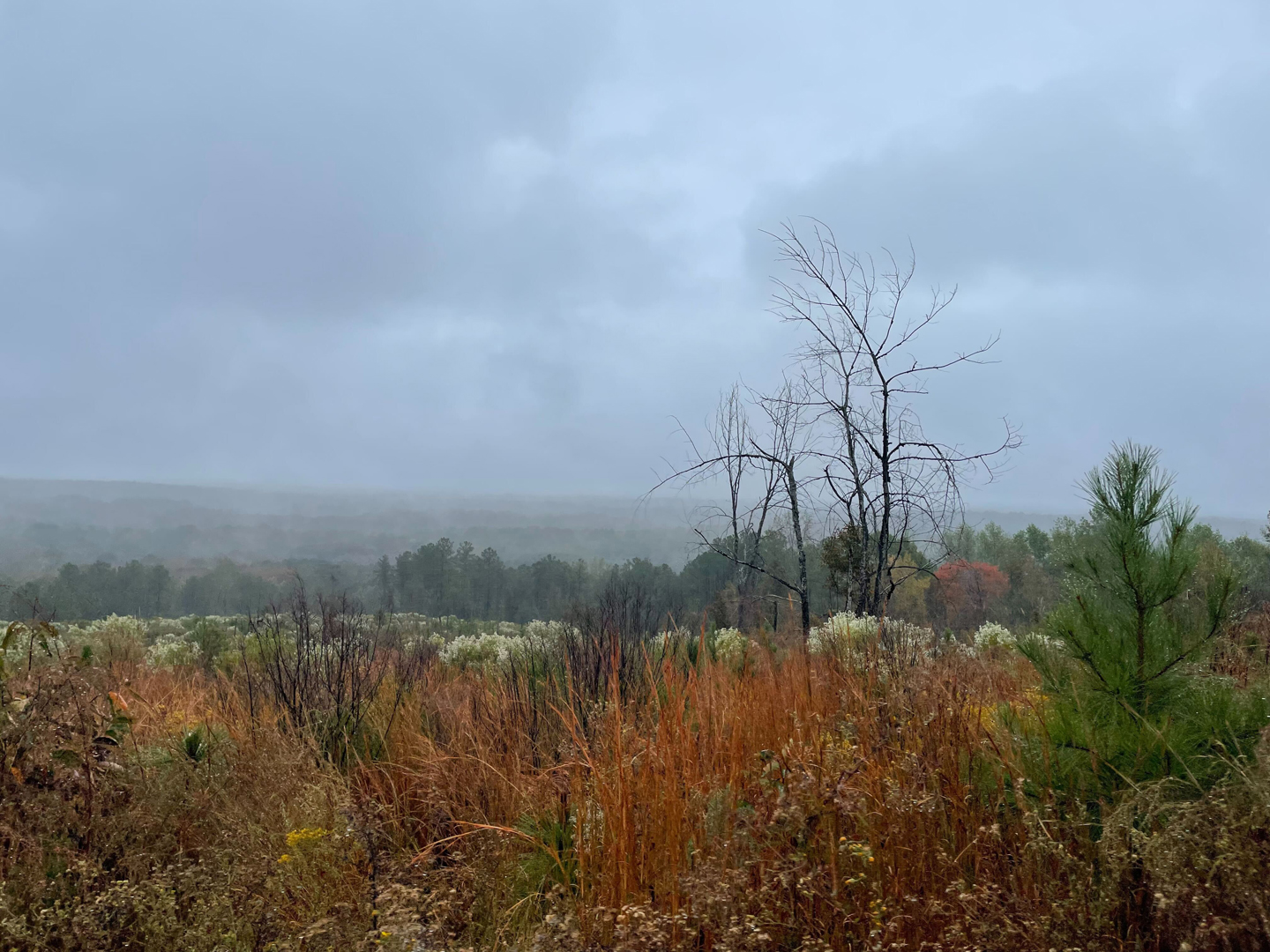 Raider Championship Photo 12